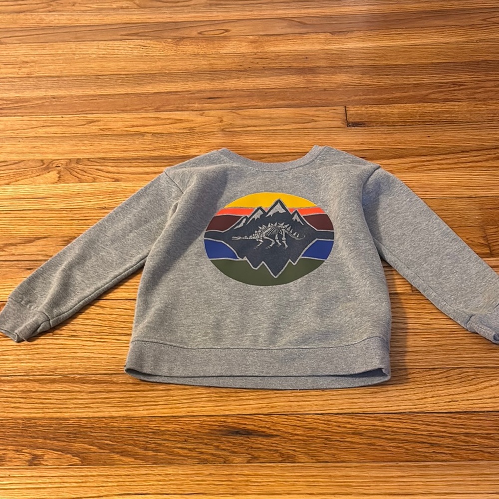 Gray Kids' Mountain Graphic Sweatshirt